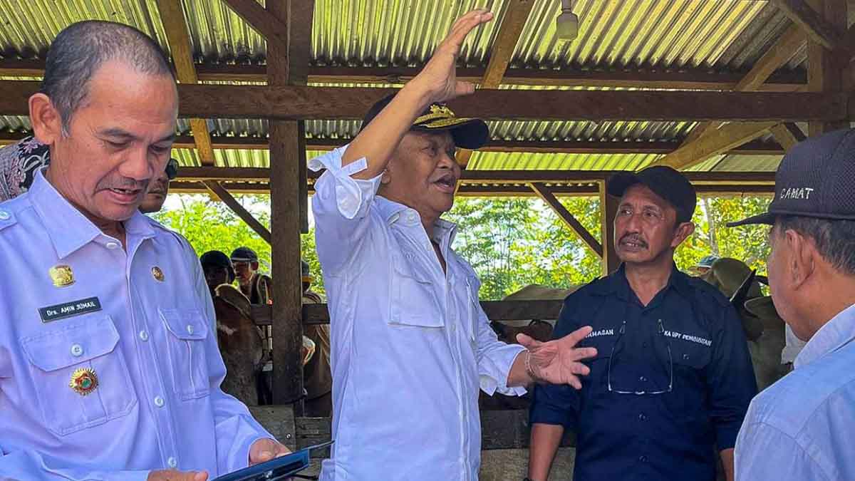Gubernur Rusdy Optimis Majukan Peternakan dan Perkebunan Sulteng