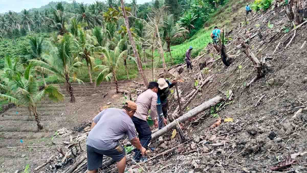 Sejumlah warga bersama aparat kepolisian dan pemerintah desa bergotong royong menanam jagung di lahan perbukitan Desa Sausu Pakareme, Kecamatan Sausu, Kabupaten Parigi Moutong, Rabu (17/9/2025). Foto: Humas Polres Parimo