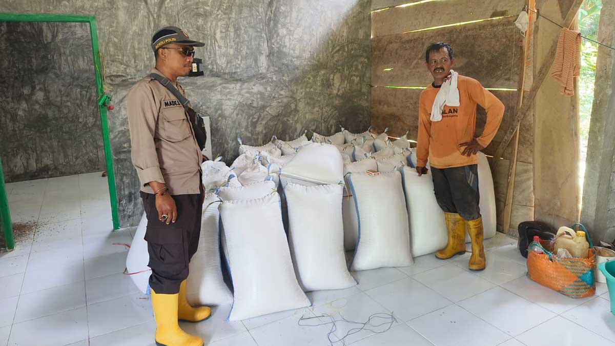 Kanit Binmas Polsek Tomini AIPTU I Made Suyatna saat melakukan pengecekan hasil panen jagung milik warga di Desa Tomini Barat, Kecamatan Tomini, Sabtu (28/9/2025). Sebanyak 1,8 ton jagung dinyatakan siap dipasarkan untuk mendukung ketahanan pangan. Foto: Humas Polres Parimo