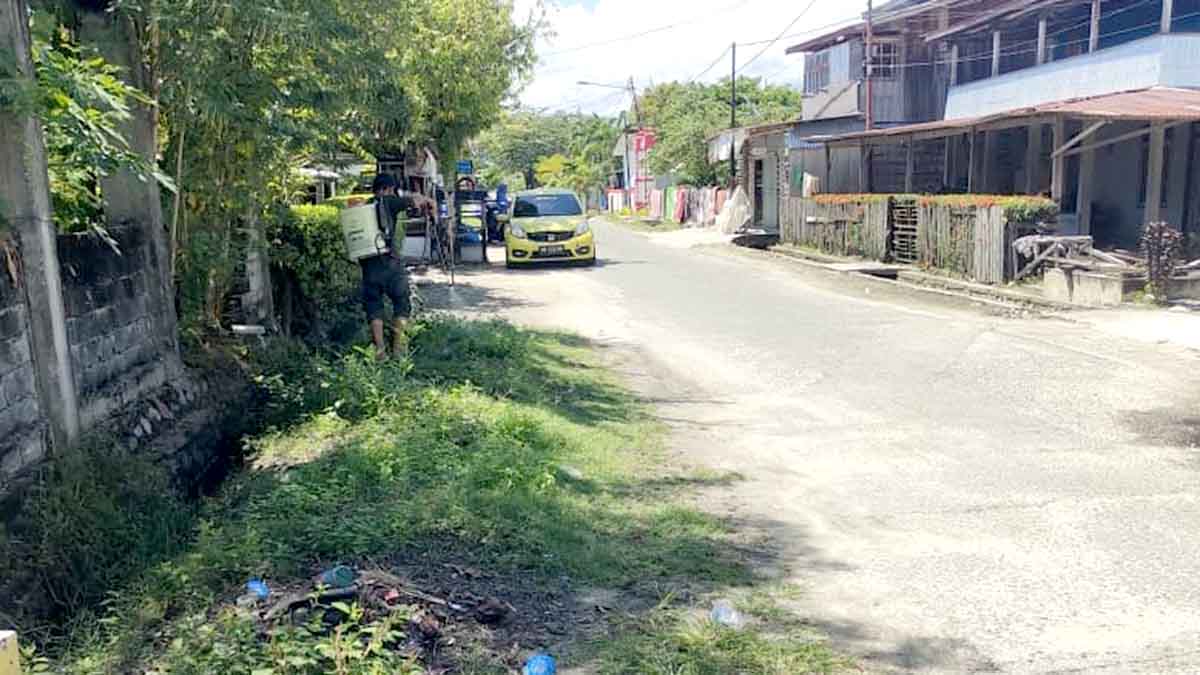 Seorang warga Kelurahan Bantaya, Tasrifin, terlihat menyemprot rumput liar di bahu Jalan Nurul Bahri, Kecamatan Parigi, Kabupaten Parigi Moutong, sebagai upaya menjaga kebersihan dan keindahan lingkungan secara mandiri, Ahad (5/10/2025). Foto: Rizky