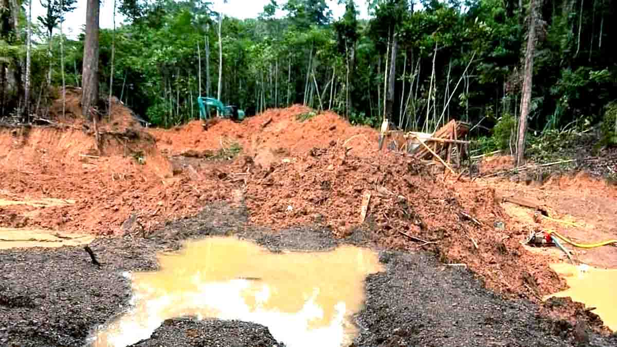 Keterangan Foto: Lokasi galian tambang tanpa izin (PETI) di Desa Sipayo, Kecamatan Sidoan, Kabupaten Parigi Moutong. Tampak tumpukan material galian, genangan air berlumpur, serta satu unit alat berat yang masih berada di area operasi yang telah merusak bentang alam hutan. Foto: Dok. Konteks Sulawesi