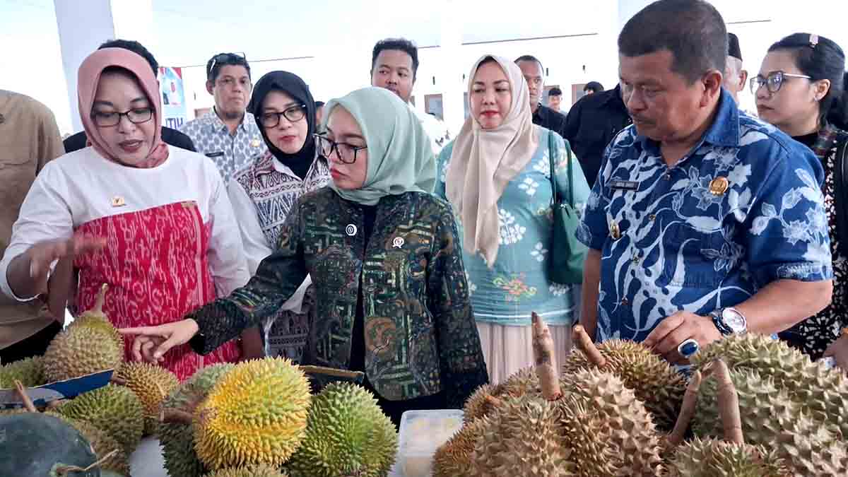 Wakil Menteri Koperasi dan UKM Farida Farichah dan Wakil Bupati Parimo Abdul Sahid didampingi Ketua Kadin Parimo, Faradiba Zaenong bersama sejumlah pejabat pemerintah pusat dan daerah meninjau aneka varietas durian lokal dalam agenda kunjungan kerja di Parigi Moutong, memperlihatkan kualitas buah yang dipersiapkan untuk pengembangan pasar dan penguatan sektor durian daerah. Foto: Mabin
