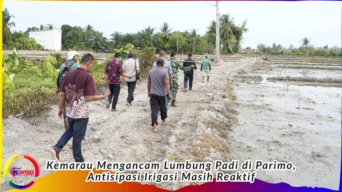Keterangan Foto: Peninjauan areal sawah di Parigi Moutong, Sulawesi Tengah. Kemarau panjang mulai mengeringkan lahan pertanian di wilayah sentra padi, sementara kesiapan infrastruktur irigasi masih bergantung pada respons lapangan dan laporan kedaruratan. Foto: Galang