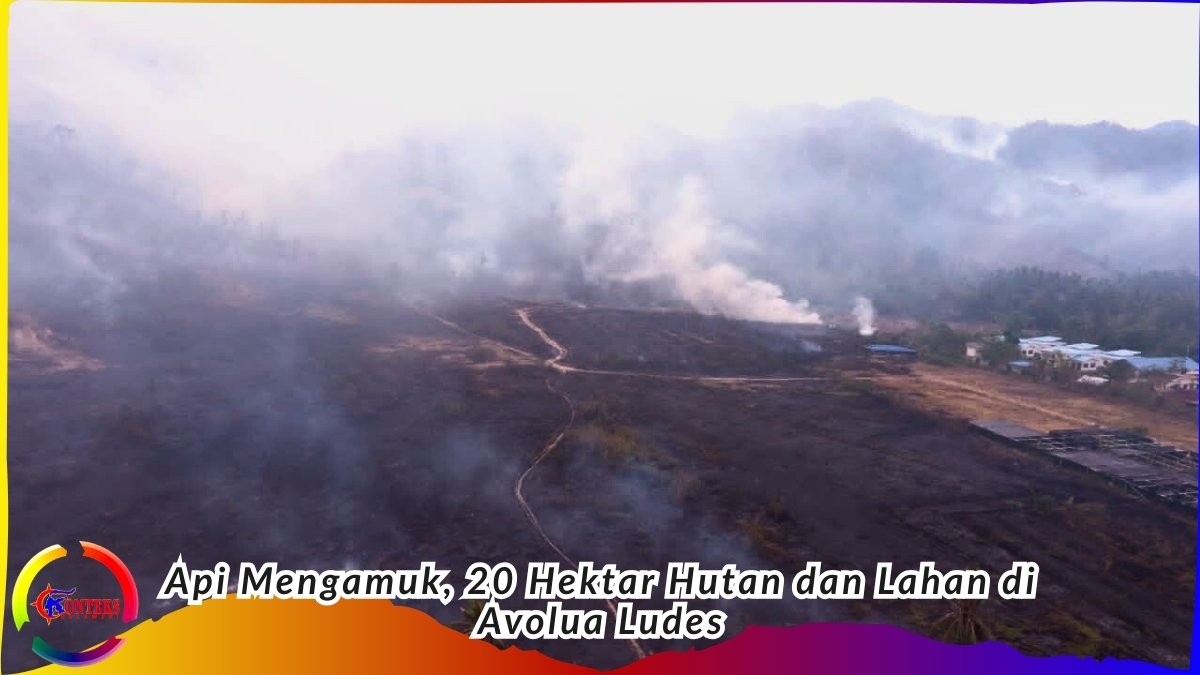Tampak areal hutan dan lahan di Desa Avolua, Kecamatan Parigi Utara, hangus dilalap api. Terlihat juga asap dari kebakaran itu menutupi langit, Senin (2//2/2026). Foto: Dok. BPBD Parigi Moutong