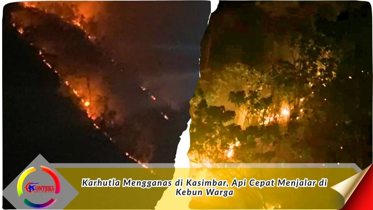 Keterangan Foto: Kebakaran hutan dan lahan (karhutla) melanda Desa Labuan Donggulu, Kecamatan Kasimbar, Kabupaten Parigi Moutong, Rabu (25/2/2026) malam. Api terlihat cepat menjalar di area kebun warga akibat tiupan angin kencang. Foto: Dok. Ist.