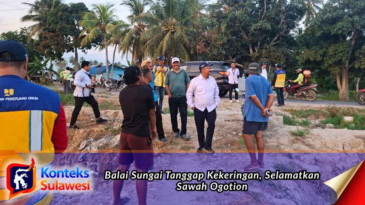 Tim Balai Sungai Dua meninjau lahan persawahan terdampak kekeringan di Desa Ogotion, Kecamatan Mepanga, Parigi Moutong. Foto: Istimewah