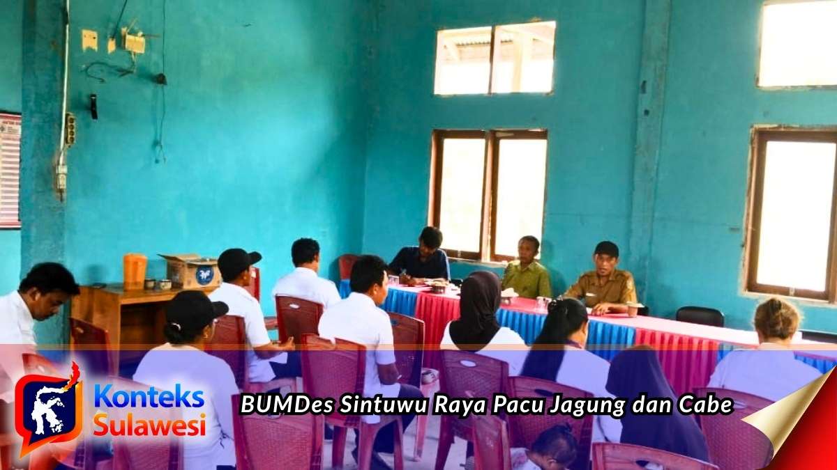 Rapat koordinasi BUMDes Abadi Jaya bersama pemerintah desa, BPD, kelompok tani dan petani membahas percepatan penanaman jagung dan cabai di Desa Sintuwu Raya, Kecamatan Sidoan, Selasa (29/9/2026). Foto: Iskandar Miu