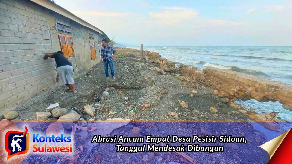 Abrasi mengikis kawasan pesisir Desa Sidoan Timur, Kecamatan Sidoan, hingga mengancam bahu jalan Trans Sulawesi. Foto: Tommy Noho.