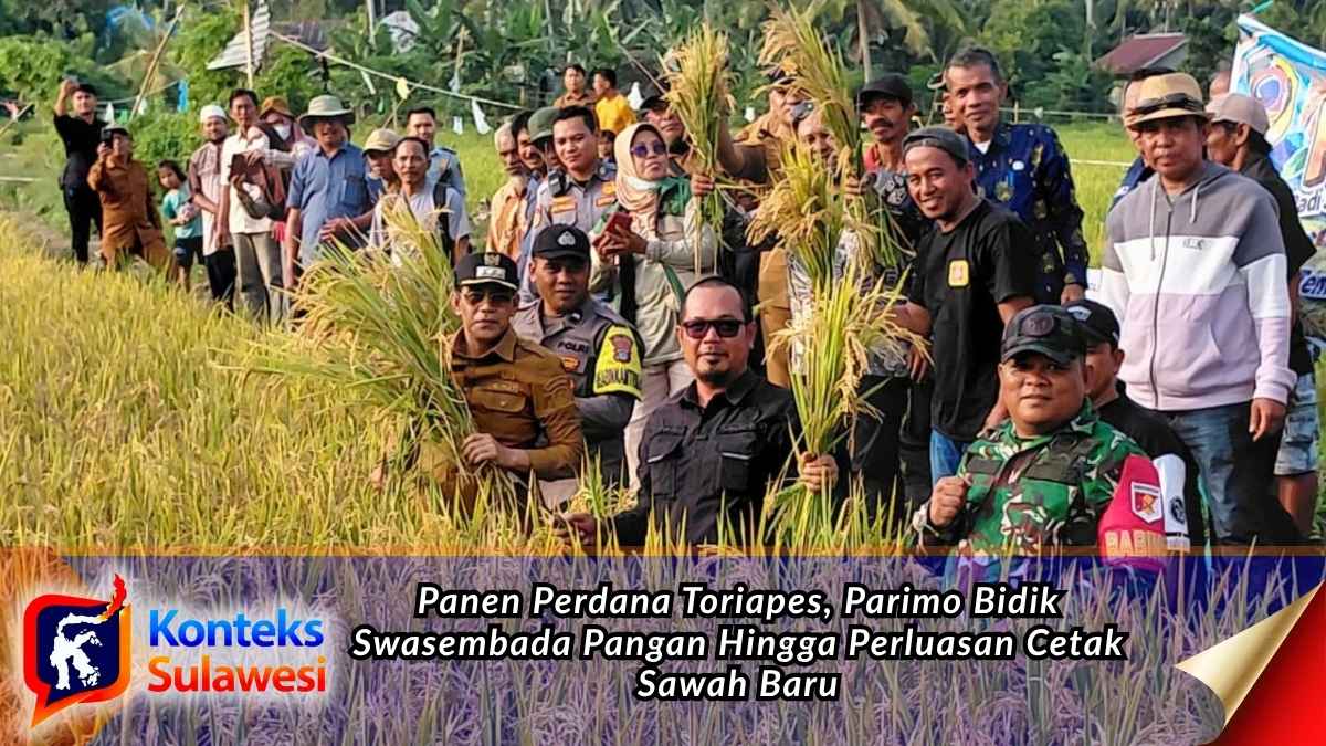 Bupati Parigi Moutong Erwin Burase saat melakukan panen perdana hasil cetak sawah rakyat di Dusun Toriapes, Desa Kasimbar, Kecamatan Kasimbar, Selasa (6/10/2026). Foto: Tommy Noho