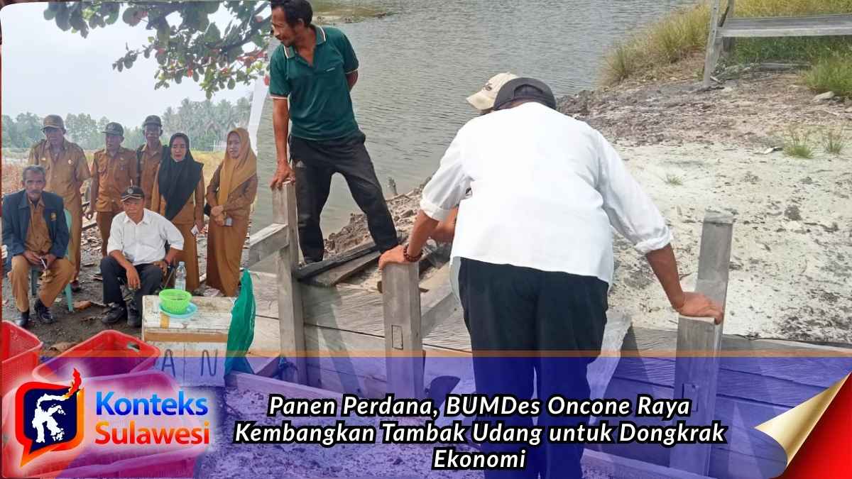 Kepala Desa Oncone Raya bersama jajaran pengurus BUMDes dan perwakilan pemerintah kecamatan saat kegiatan panen perdana udang di tambak BUMDes Desa Oncone Raya, Kecamatan Tinombo Selatan, Kabupaten Parigi Moutong, Senin (12/10/2026). Foto: Istimewa