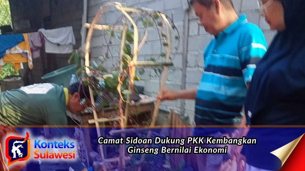 Camat Sidoan Haris Irawan bersama Ketua TP PKK Kecamatan dan Kepala Desa Sidoan meninjau langsung penanaman ginseng yang dikembangkan ibu-ibu PKK sebagai upaya mendorong pemberdayaan perempuan dan meningkatkan ekonomi warga. Foto: Iskandar Miu