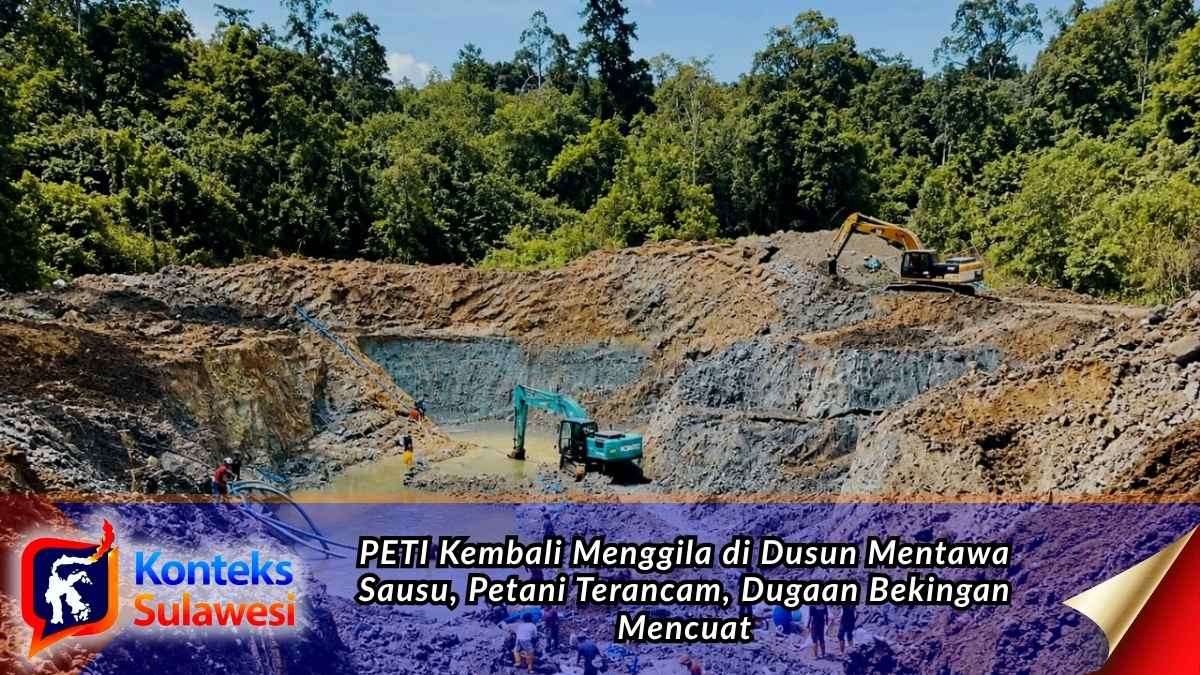 Aktivitas pertambangan emas tanpa izin (PETI) di Dusun Mentawa, Desa Sausu Torono, Kecamatan Sausu Torono, Kabupaten Parigi Moutong, menjadi sorotan setelah petani mengeluhkan air sungai yang keruh dan mengkhawatirkan dampaknya terhadap lahan pertanian. Foto: Ist